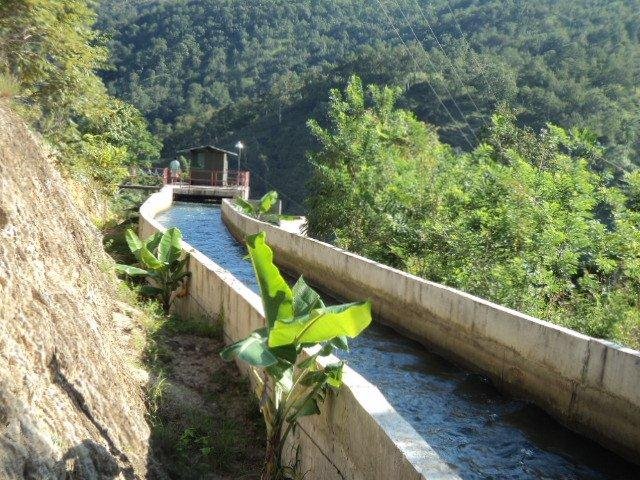 DSC00688