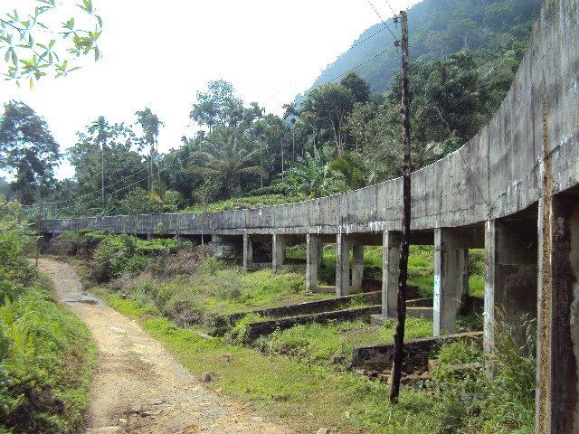 DSC03906