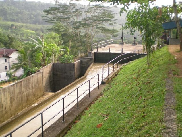 DSCN3031