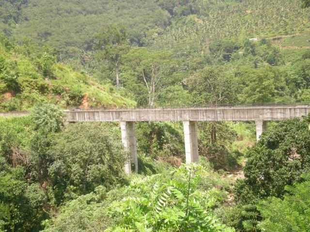 DSCN3054 (1)