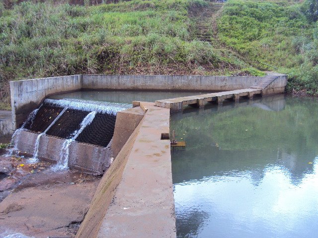 Weir I,